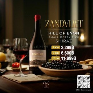 ZANDVLIET HILL OF ENON SMALL BERRY PICK SHIRAZ